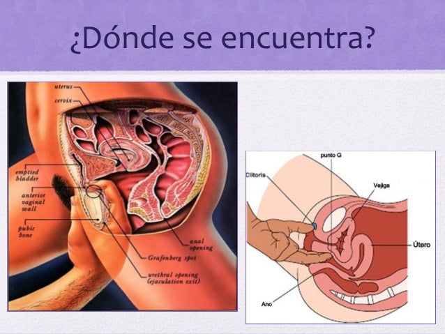 [PUNIQRANDLINE-(au-dating-names.txt) 51 Punto p del hombre donde se encuentra [PUNIQRANDLINE-(au-dating-names.txt) 45